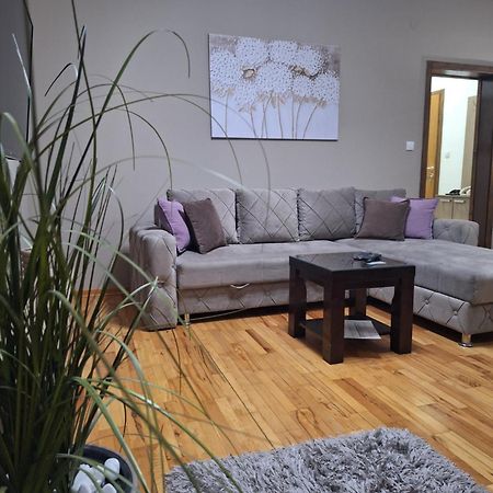 Apartmani Radulovic Vrnjačka Banja الغرفة الصورة