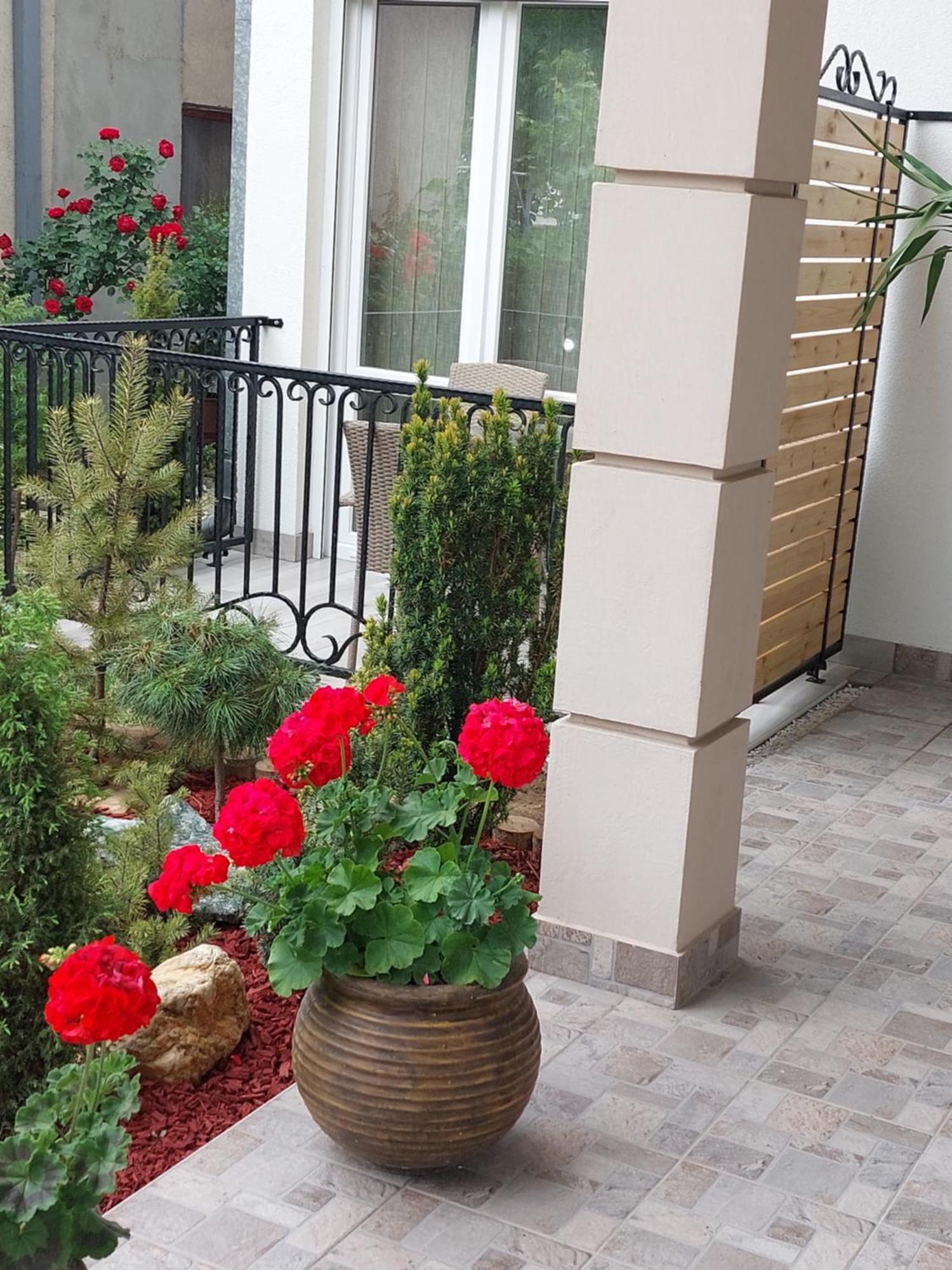 Apartmani Radulovic Vrnjačka Banja الغرفة الصورة
